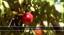 Βίντεο Α.Σ. Μελίκης